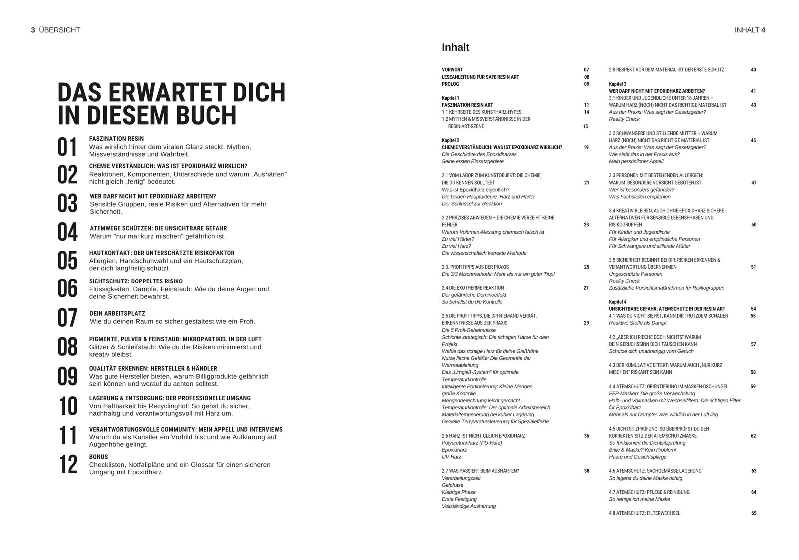 Übersicht und Inhaltsverzeichnis: Das erwartet dich in diesem Buch